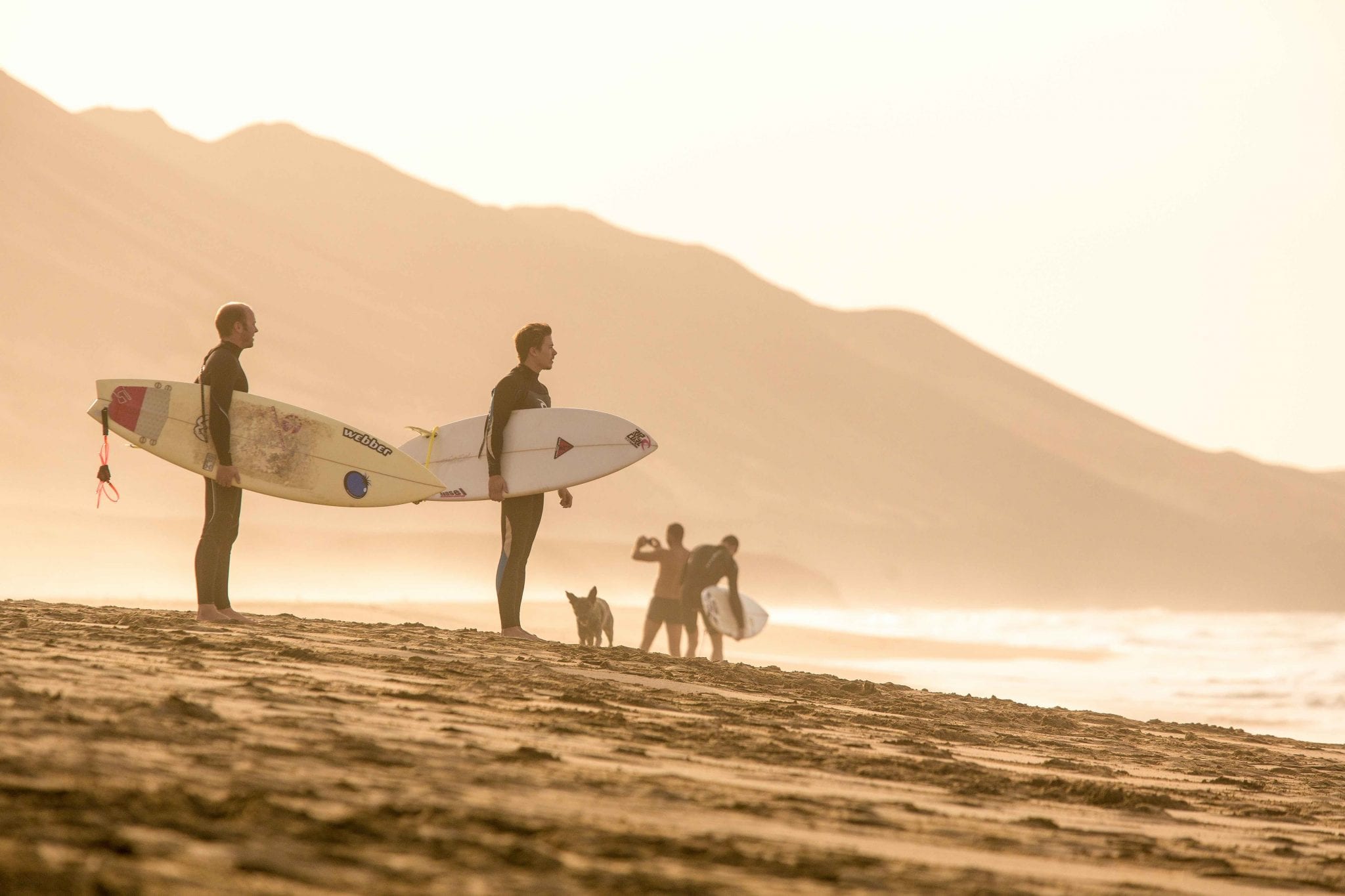 surfcamps.de 10 Hot Spots auf Fuerteventura Umgebung Surfer